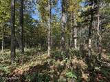 2235 Moore Knob Rd - Photo 7