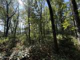 2235 Moore Knob Rd - Photo 8