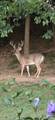 11644 Minor Hill Hwy - Photo 4