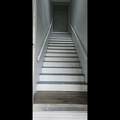 147 Brush Hill Ct - Photo 5