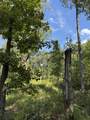 905 Chapel Hill Pike - Photo 16