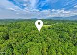 1 Birds Creek Road - Photo 11