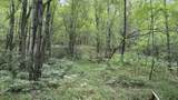 0 Brush Creek Rd - Photo 3