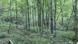 0 Brush Creek Rd - Photo 5