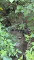 0 Brush Creek Rd - Photo 6