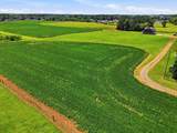 282 Highway 259 - Photo 18