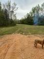 255 Mcbride Cemetery Rd - Photo 6