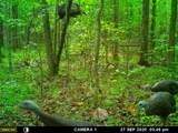 255 Mcbride Cemetery Rd - Photo 8