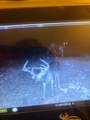 255 Mcbride Cemetery Rd - Photo 10