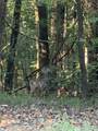 0 Cumberland Ridge Rd - Photo 6