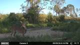 0 Second Creek Road - Photo 4