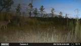 0 Second Creek Road - Photo 6
