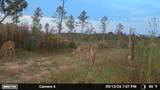 0 Second Creek Road - Photo 8