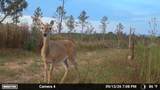 0 Second Creek Road - Photo 9