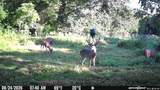 505 Philippi Rd - Photo 75