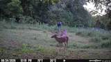 505 Philippi Rd - Photo 78