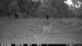 505 Philippi Rd - Photo 75
