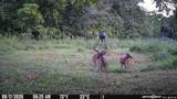 505 Philippi Rd - Photo 76