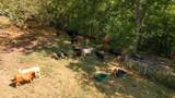 1775 Popes Chapel Rd - Photo 51