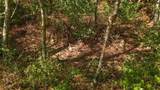 1775 Popes Chapel Rd - Photo 78