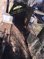 616 Eastboro Dr - Photo 3