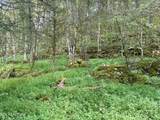 0 Cantwell Valley Rd - Photo 13