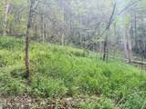 0 Cantwell Valley Rd - Photo 23