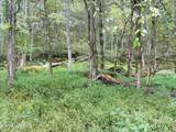 0 Cantwell Valley Rd - Photo 28