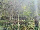 0 Cantwell Valley Rd - Photo 30