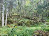 0 Cantwell Valley Rd - Photo 31