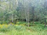 0 Cantwell Valley Rd - Photo 32