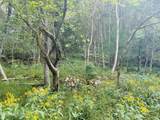 0 Cantwell Valley Rd - Photo 35