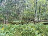 0 Cantwell Valley Rd - Photo 37
