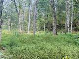 0 Cantwell Valley Rd - Photo 38