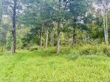 0 Cantwell Valley Rd - Photo 39