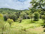 0 Cantwell Valley Rd - Photo 8