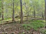 0 Cantwell Valley Rd - Photo 9