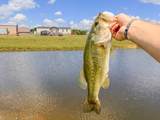 1198 David Patterson Rd - Photo 6
