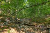 0 Peaceful Valley Ln - Photo 15