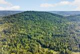 0 Peaceful Valley Ln - Photo 6