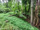 0 Vann Drive - Photo 6