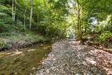 0 Dog Creek Road - Photo 13