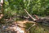 0 Dog Creek Road - Photo 14