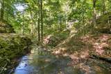 0 Dog Creek Road - Photo 16