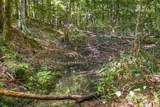 0 Dog Creek Road - Photo 17