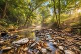 0 Dog Creek Road - Photo 18