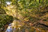 0 Dog Creek Road - Photo 19