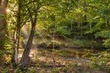 0 Dog Creek Road - Photo 25