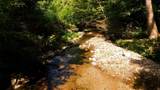 0 Dog Creek Road - Photo 31