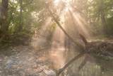 0 Dog Creek Road - Photo 34